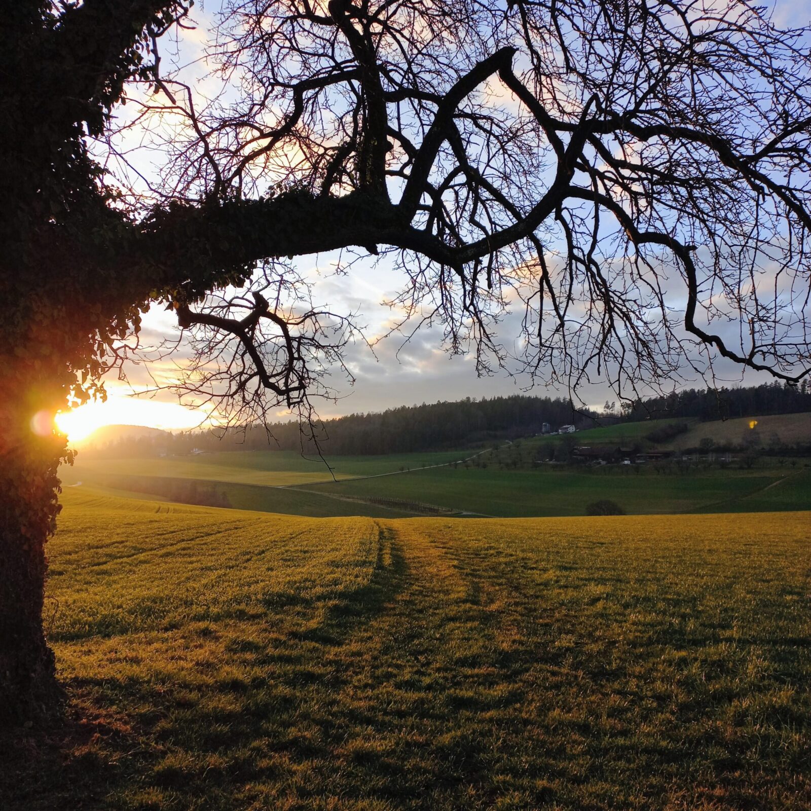Stille