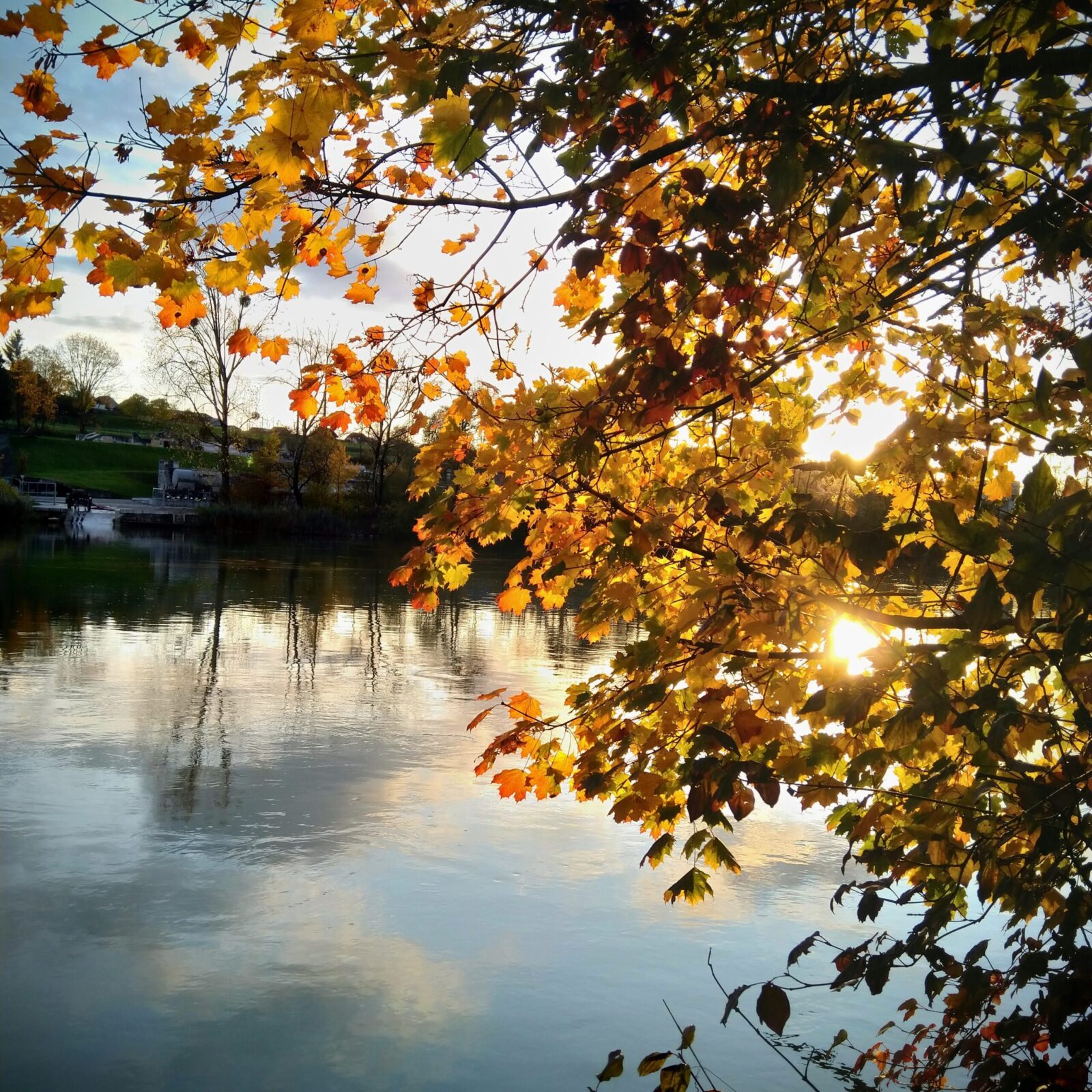 Lichtblick